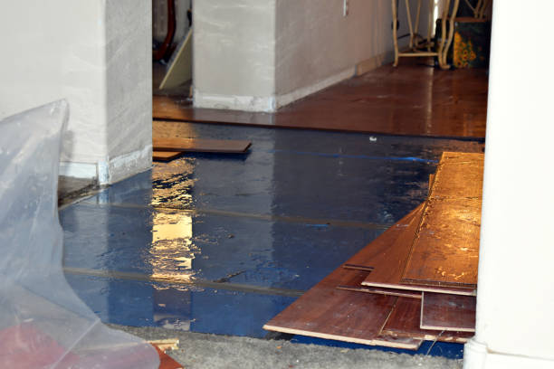 Professional Sewage Cleanup technician working in North Bend, OR